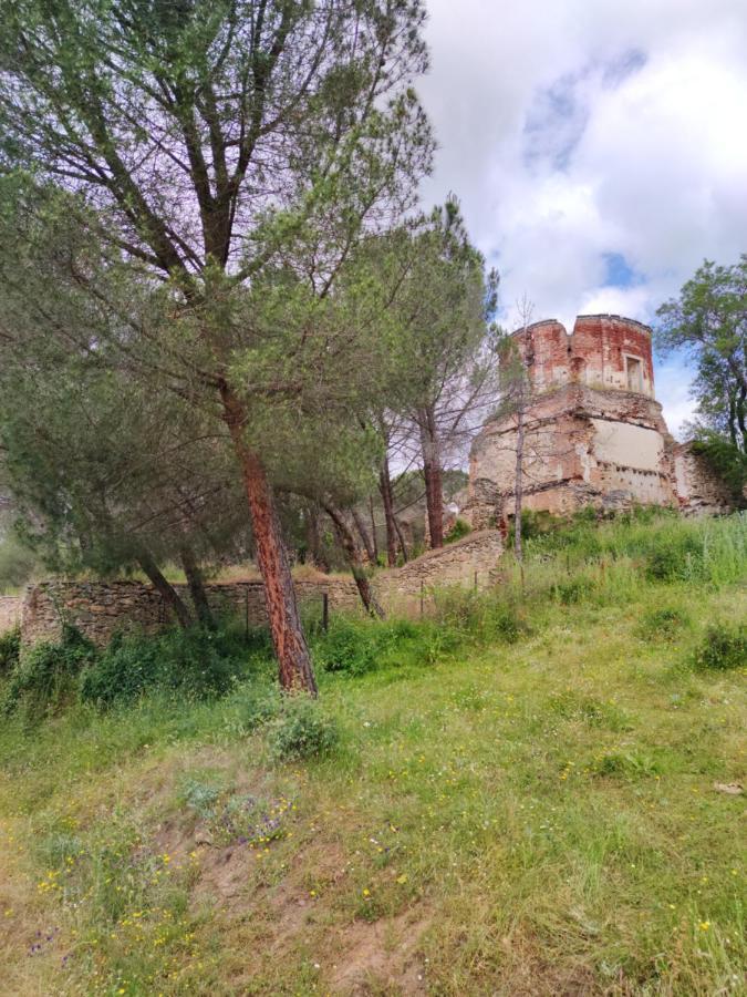 ブイトラゴ・デル・ロソヤPuente Viejo De Buitrago Casa Enebroアパートメント エクステリア 写真